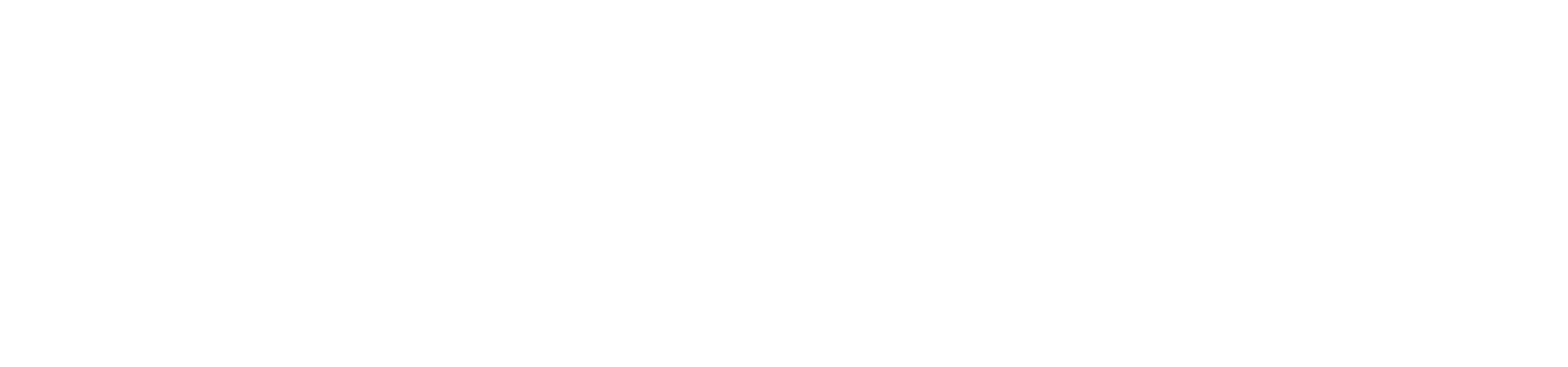 Logo Footer